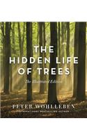 The Hidden Life of Trees