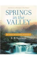 Springs in the Valley