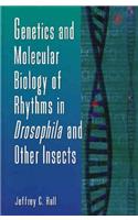 Genetics and Molecular Biology of Rhythms in Drosophila and Other Insects