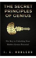 Secret Principles of Genius
