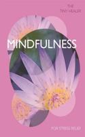 Tiny Healer: Mindfulness