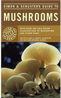 S&S Guide to Mushrooms