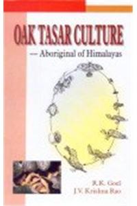 Oak Tasar Culture