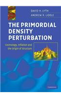 Primordial Density Perturbation