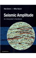 Seismic Amplitude