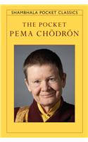 Pocket Pema Chodron