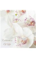 Celebration of Life, In Loving Memory Funeral Guest Book, Wake, Loss, Memorial Service, Love, Condolence Book, Funeral Home, Missing You, Church, Thoughts and In Memory Guest Book (Hardback)