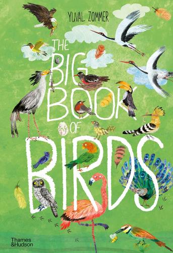 Big Book of Birds: (Big Book)