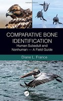 Comparative Bone Identification