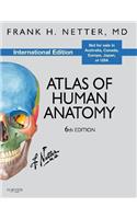Atlas of Human Anatomy, International Edition (Netter Basic Science)