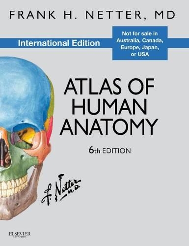 Atlas of Human Anatomy, International Edition (Netter Basic Science)