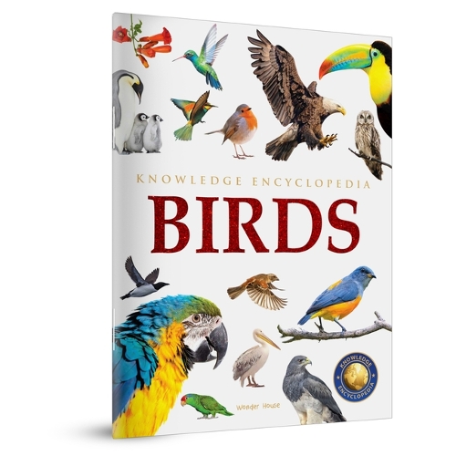 Animals: Birds