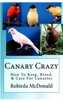Canary Crazy