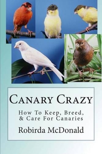 Canary Crazy