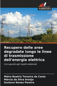 Recupero delle aree degradate lungo le linee di trasmissione dell'energia elettrica