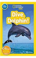 Dive, Dolphin!