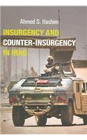 Insurgency and Counter-Insurgency in Iraq