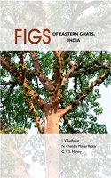 Figs Of Eastern Ghats