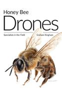 Honey Bee Drones