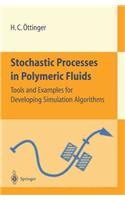 Stochastic Processes in Polymeric Fluids