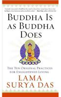 Buddha Is as Buddha Does