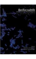 Bacillus Subtilis and Other Gram-Positive Bacteria: From Genes to Cells