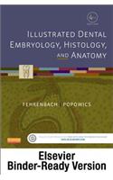 Illustrated Dental Embryology, Histology, and Anatomy - Binder Ready