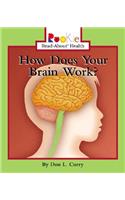 How Does Your Brain Work?
