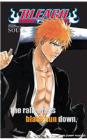 Bleach: Souls. Official Character Book