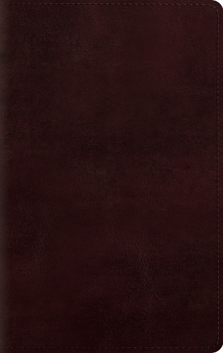 ESV Large Print Personal Size Bible, Red Letter: English Standard Version, Mahogany, Trutone, Personal Size Bible(English)