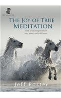 The joy of True Meditation