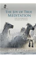 joy of True Meditation