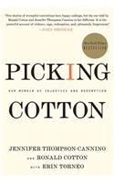 Picking Cotton