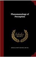 Phenomenology of Perception