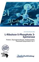 L-Ribulose-5-Phosphate 3-Epimerase