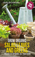Grow Organic Salad Leaves and Greens