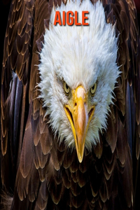 Aigle: Photos Etonnantes & Recueil d'Informations Amusantes Concernant les Aigle pour Enfants