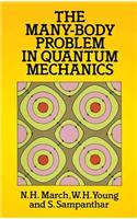 The Many-Body Problem in Quantum Mechanics