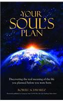 Your Soul's Plan: Discovering The Real Meaning Of The Life You Planned Before You Were Born