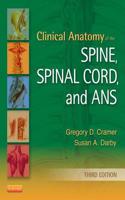 Clinical Anatomy of the Spine, Spinal Cord, and ANS