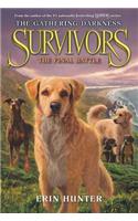 Survivors: The Gathering Darkness: The Final Battle