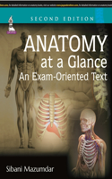 Anatomy at a Glance