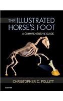 The Illustrated Horse's Foot