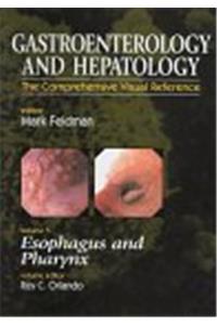 The Gastroenterology and Hepatology