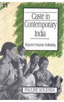 Caste In Contemporary India