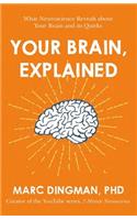 Your Brain, Explained