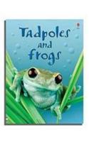 Tadpoles and Frogs