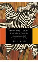 How the Zebra Got Its Stripes