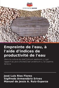 Empreinte de l'eau, à l'aide d'indices de productivité de l'eau