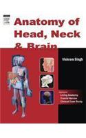 Anatomy of Head, Neck and Brain